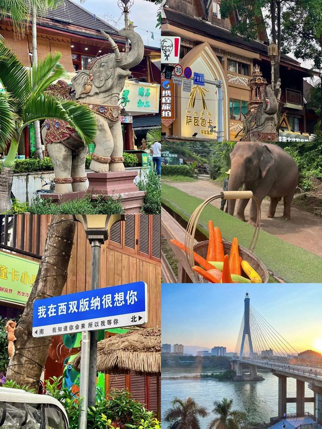 一定還會再去的地方西雙版納