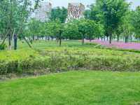 上海老姐姐的拍照聖地——申園