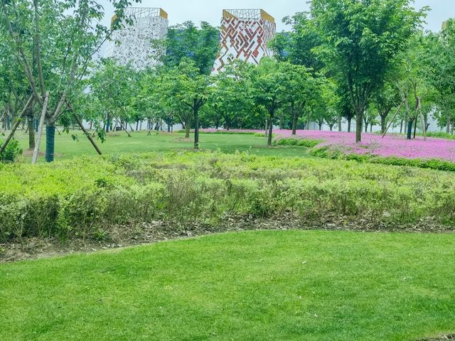 上海老姐姐的拍照聖地——申園