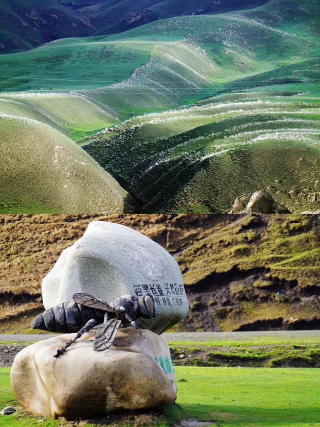 伊犁唐布拉草原——百里畫卷 冰雪花廊