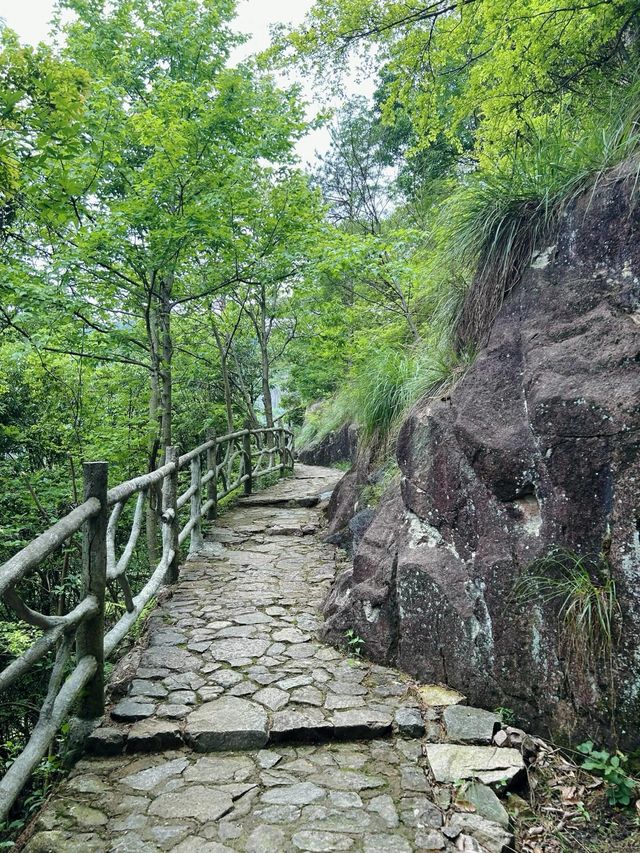 反向旅遊真香|陳情令取景地磐安百丈潭