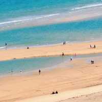 黃島紅樹林度假酒店