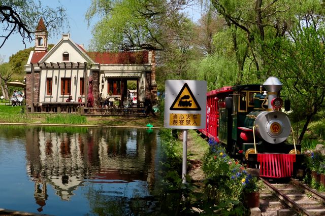 現實版莫奈花園‖上海共青森林公園 現實版莫奈花園‖上海共青森林公園