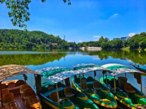 四川省自貢市富順縣天池湖位於寶慶鄉，是一個漂亮且綠樹成蔭的湖泊