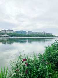 寧波日湖公園，亮點紛呈，值得一去再去