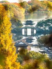 西湖美景圖畫，別錯過這場浪漫