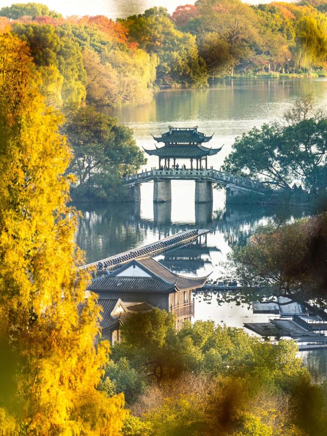 西湖美景圖畫，別錯過這場浪漫