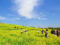 我終於來了任意門的另一邊——芸上梯田