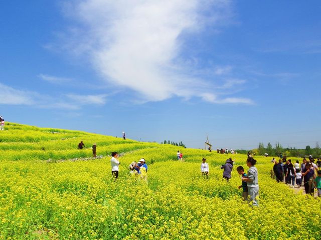 我終於來了任意門的另一邊——芸上梯田