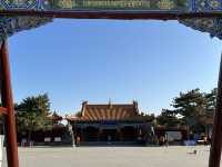 春回大召，陽光正好