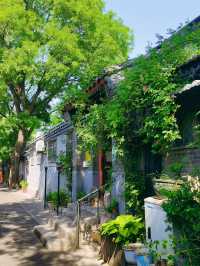 五一北京城市漫步·打卡超美的寶藏胡同