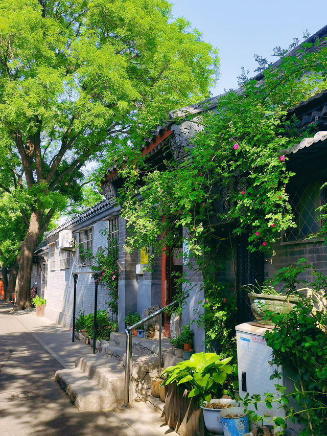 五一北京城市漫步·打卡超美的寶藏胡同