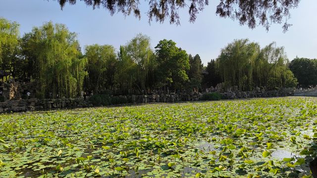 保定古蓮花池：中國北方的園林瑰寶