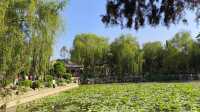保定古蓮花池:中國北方的園林瑰寶