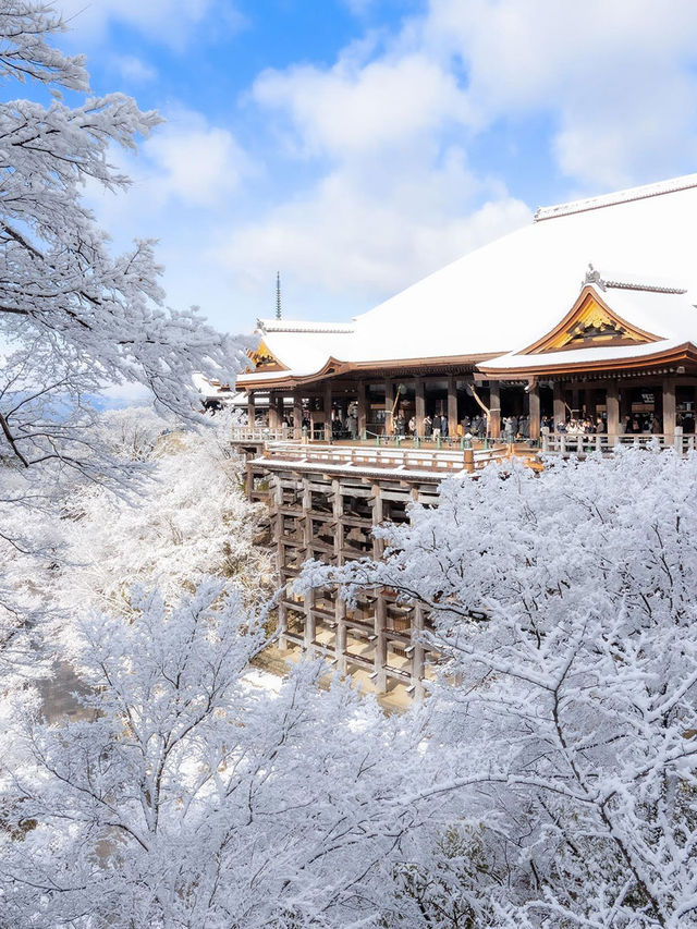 上海出發11天日本九洲郵輪旅行攻略。