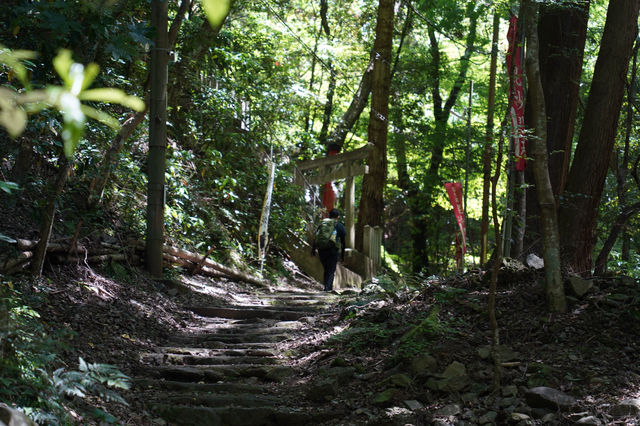 不一樣的大阪之旅泉佐野一日遊