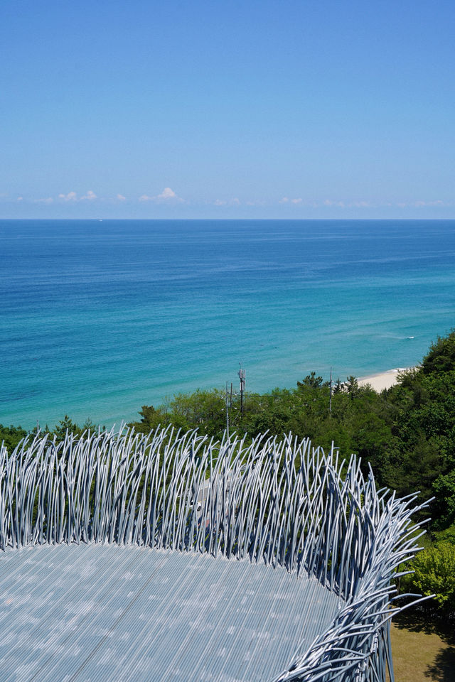 韓國江陵一日特種兵旅遊！景點一網打盡