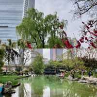 靜安公園～心靜之地