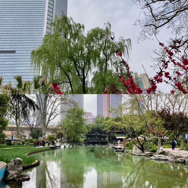 靜安公園～心靜之地