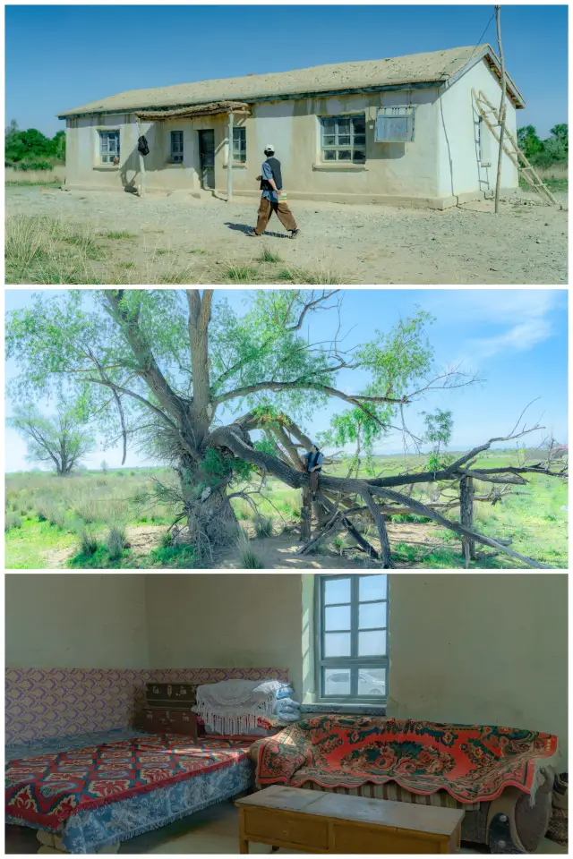 <My Altay> Filming Location Guide