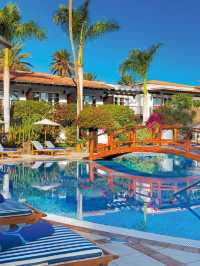 🌟 Canary Islands Bliss: Top Hotel Picks! 🏖️✨