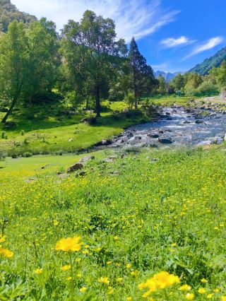 Escape the City Plan: Outdoor Hiking and Camping Paradise!