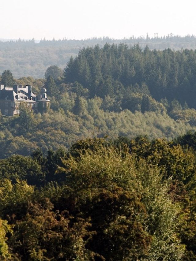 🏰✨ Unwind in Luxury: Spa's Manoir de Lébioles 🌿