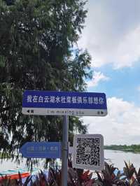 水上槳板飄