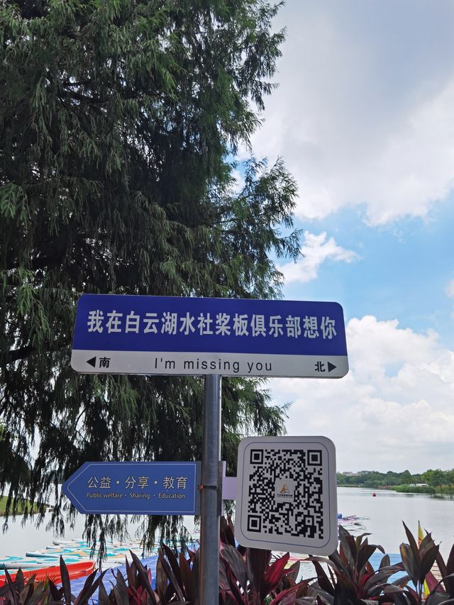 水上槳板飄