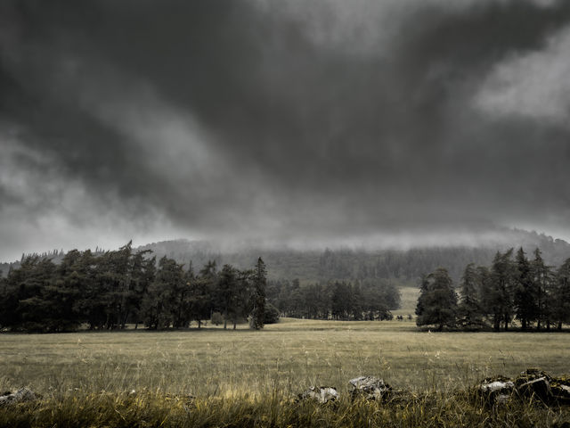Amazing Aberdeenshire!