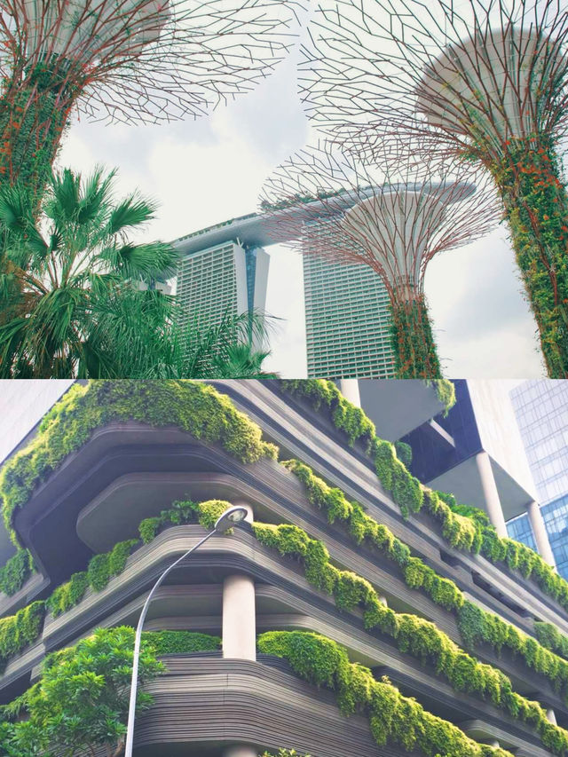 濱海灣花園用戶評價