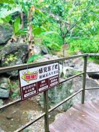 瓊中百花嶺爬山好去處