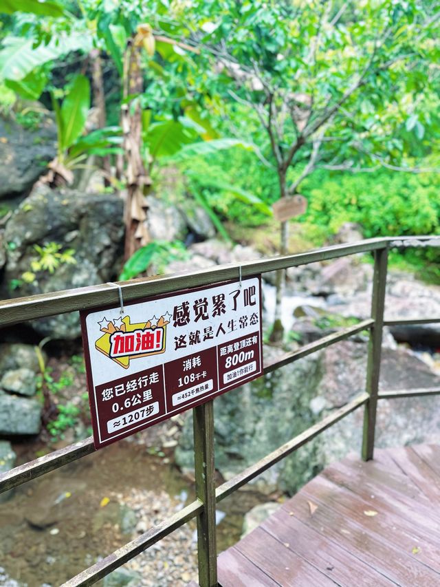 瓊中百花嶺爬山好去處