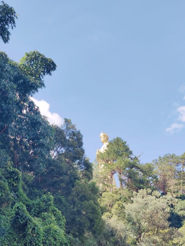 聽勸梧州，我都整理好了