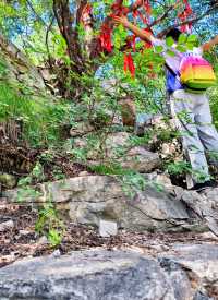 青州雲門山 夫妻樹 落水洞遺跡與蓑老臥岩