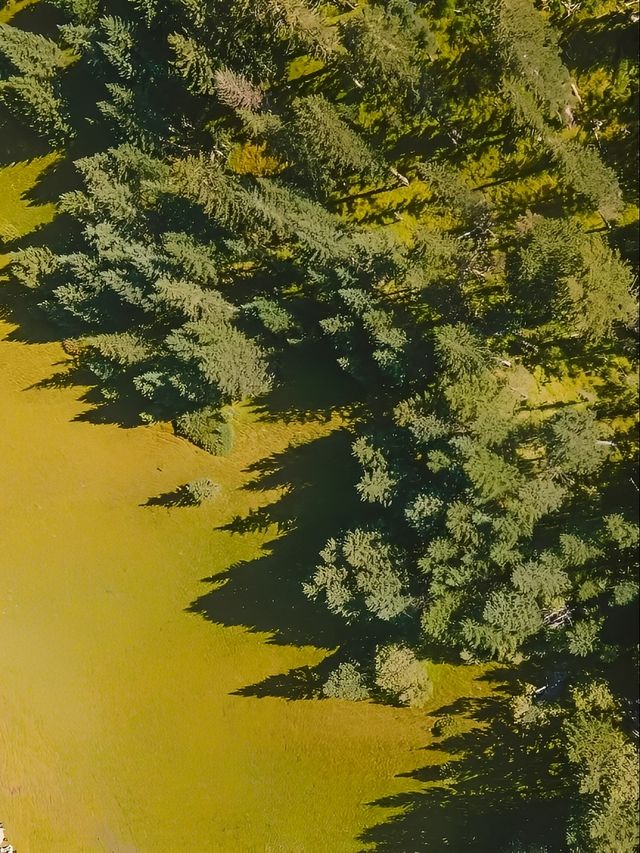 我宣布:這裡就是川西夏秋最美的草原!