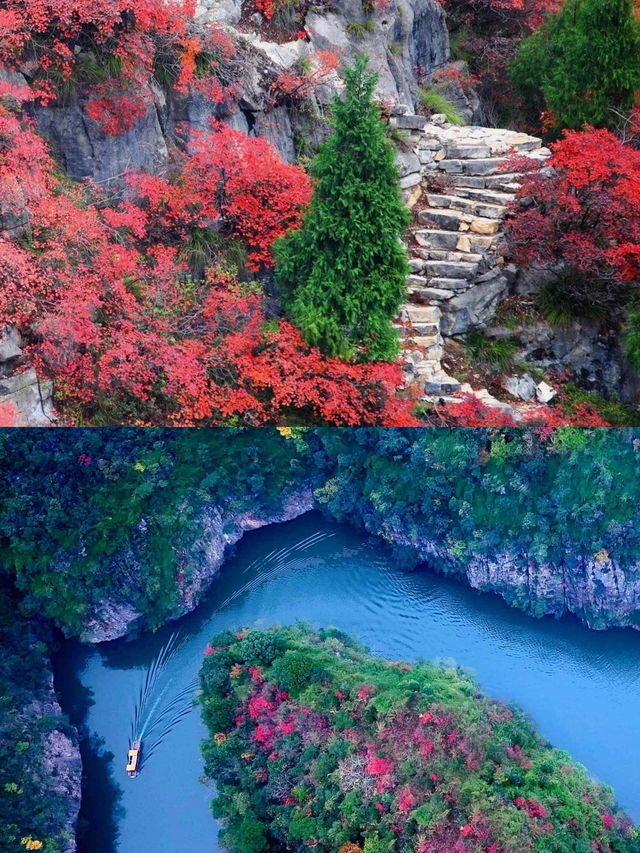 長江三峡的秋景,真的被嚴重低估了。