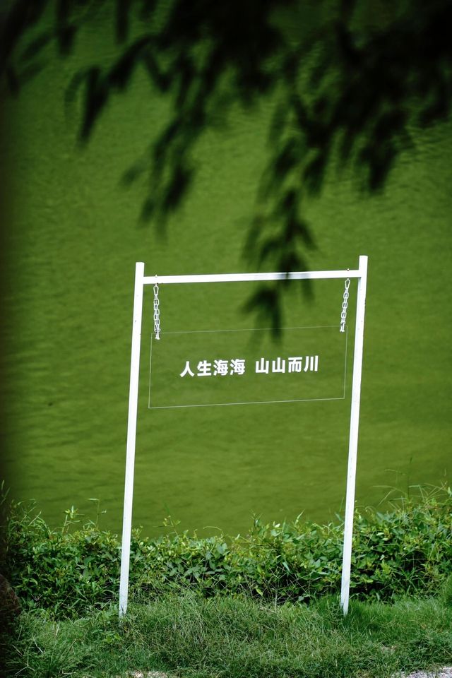 在安吉 | 雲下湖畔找到了治癒心靈的一扇窗。