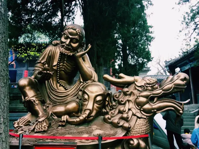 Shaolin: Story of Gongfu