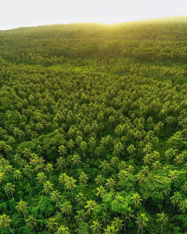 南美洲的寶藏：圭亞那的獨特魅力。