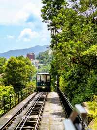 香港城市漫步|帶6歲兒子暴走2萬步攻略。