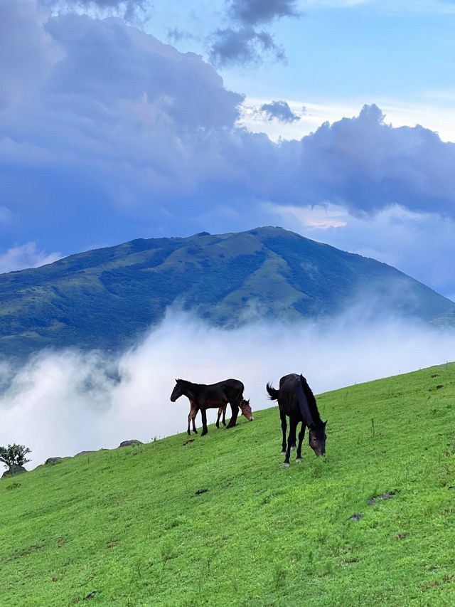 望州頂｜把時間分給熱愛和山川湖海。