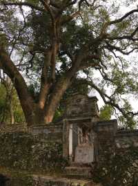 埭頭村鄉土建築，徜徉松風水月間。