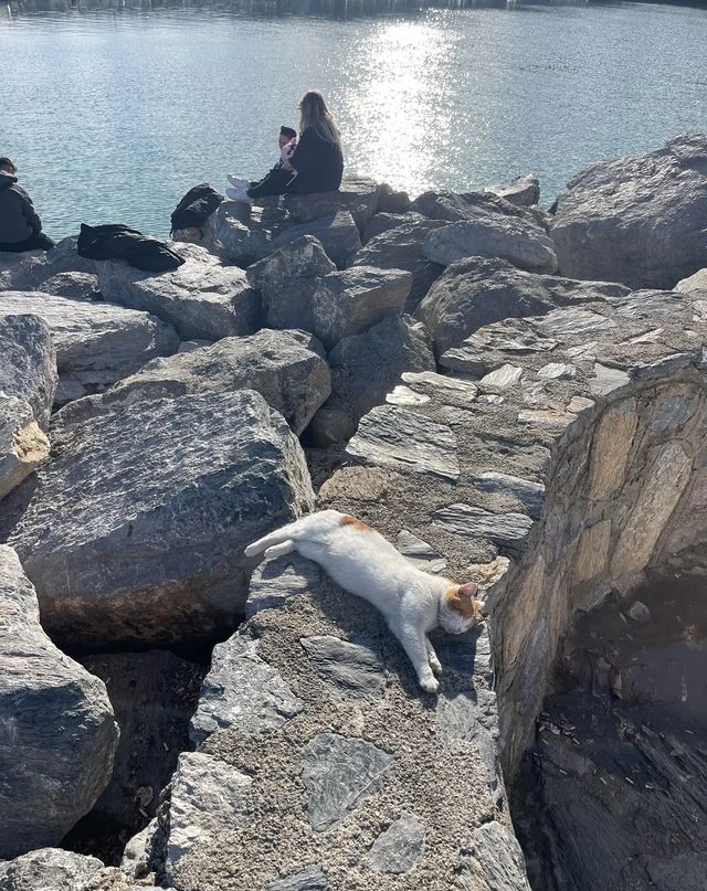 魅力阿拉尼亞：地中海畔的夢幻之地。
