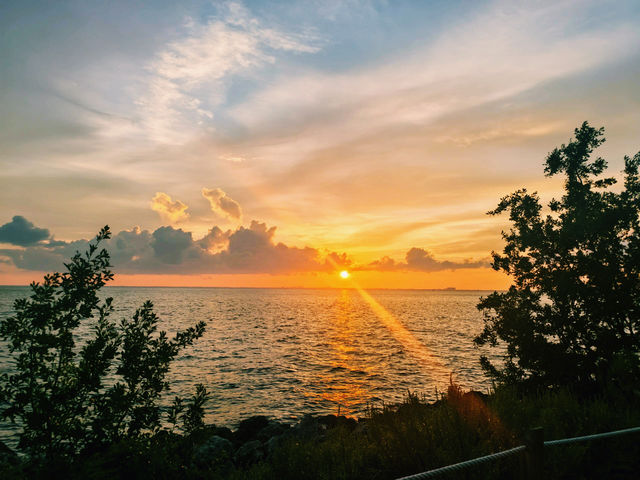 海島天堂美國邁阿密比斯坎島｜探索邁阿密的海島美景。