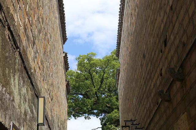 一座活生生的歷史博物館——安義古村。