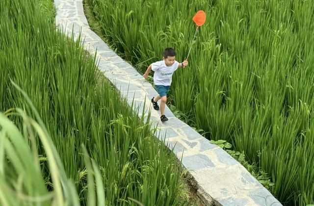 肇興侗寨推薦這家廈格梯田夏山民宿！！！