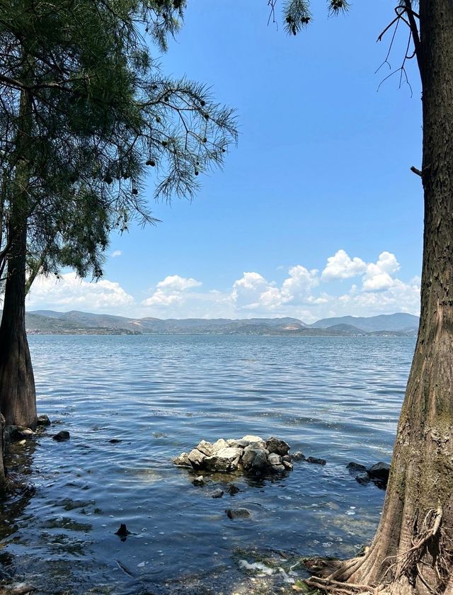 龍坎碼頭：一場心靈之旅的溫柔邀約。