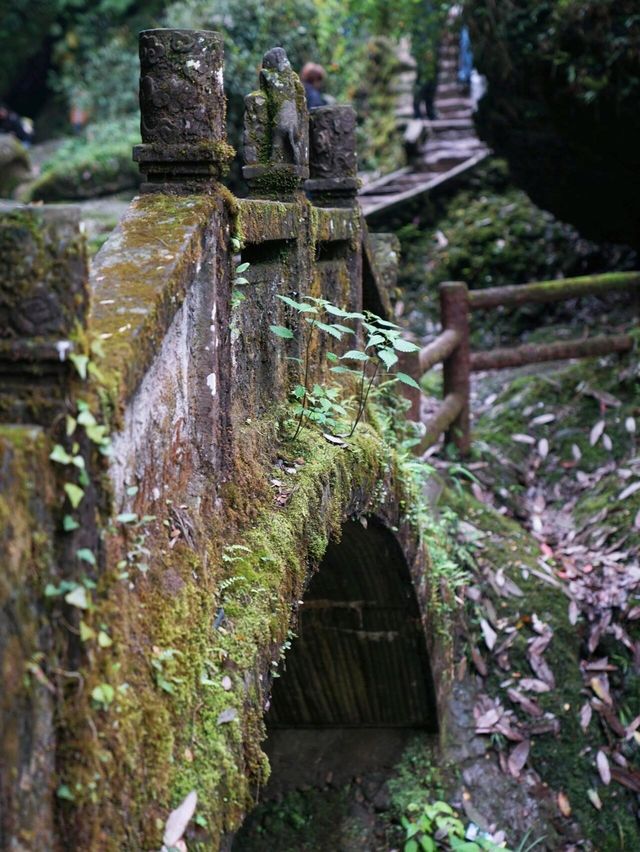 青城山旅遊。