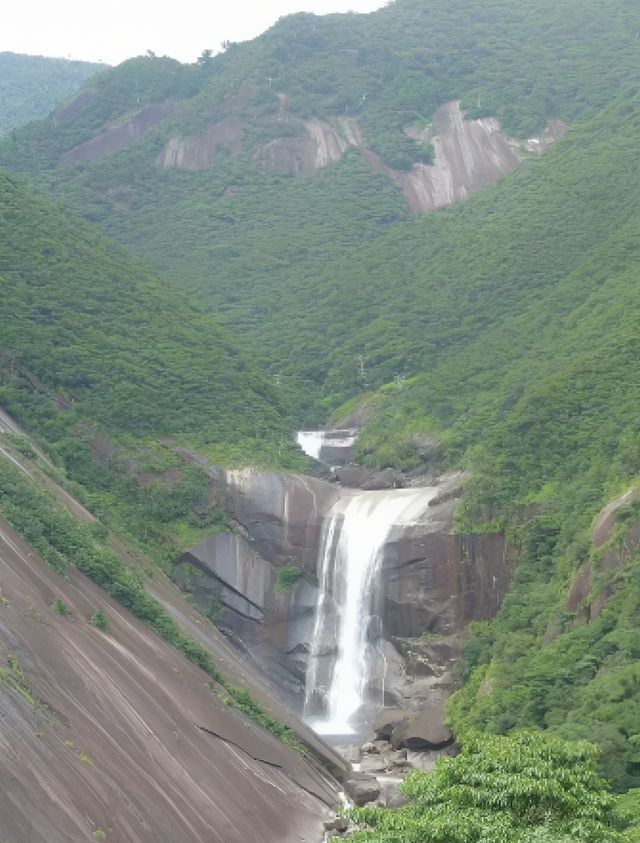 行山秘笈—日本屋久島等你來。